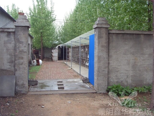 園區(qū)景觀(guān)