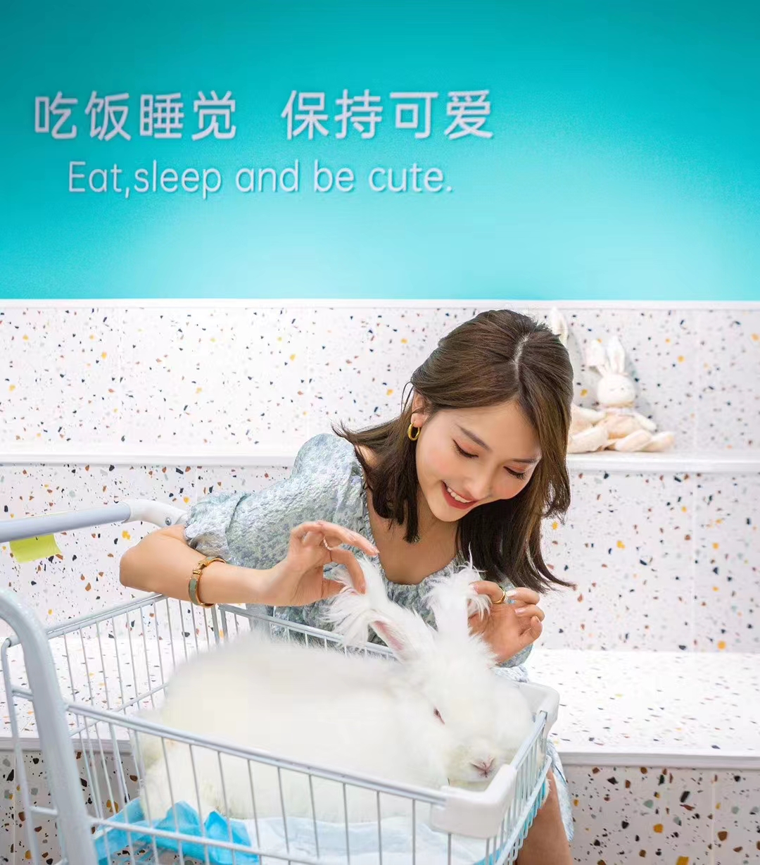 蒙陰長(zhǎng)毛兔：安哥拉兔幼兔飼養(yǎng)管理