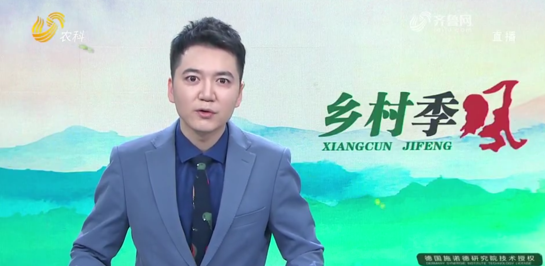 常見的長(zhǎng)毛兔品種有哪些？你喜歡他們嗎？